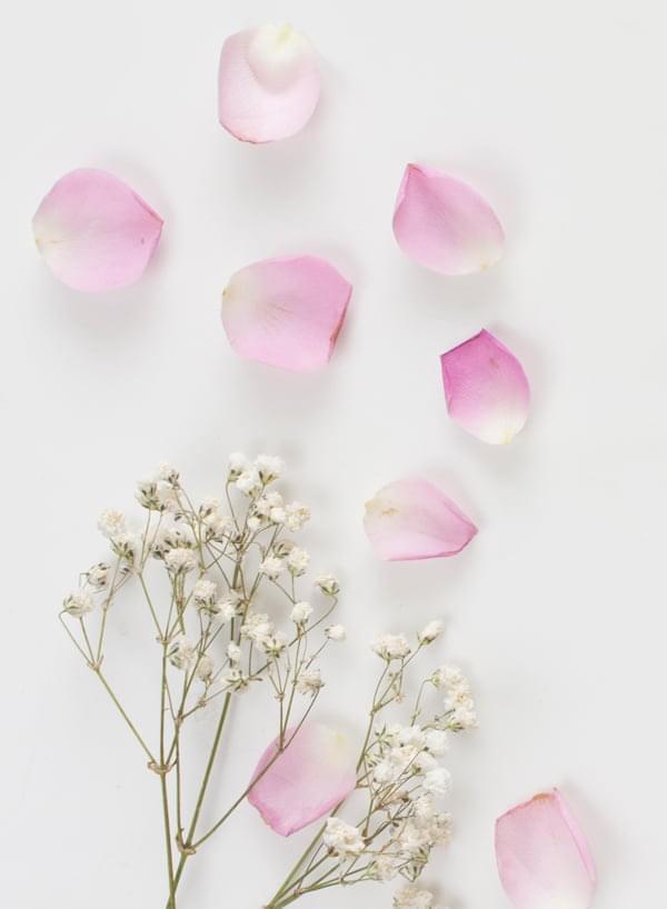 新潟遺品整理屋さん